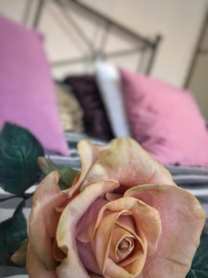 Apartament Zuzia Όλστυν Εξωτερικό φωτογραφία
